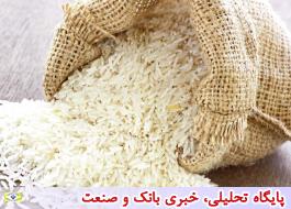لغو ممنوعیت واردات برنج در فصل برداشت مانعی ندارد/دولت به واردات بهای بیشتری می‌دهد