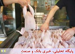 افزایش 300 تومانی قیمت مرغ در بازار
