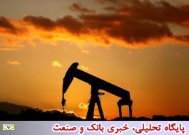 قیمت‌های نفت با امید به کاهش تنش‌های تجاری تثبیت شد