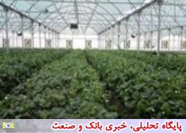 افتتاح 93 طرح کشاورزی همزمان با هفته دولت در مازندران