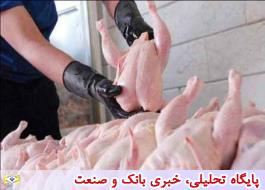 2.4 میلیون تن گوشت مرغ امسال تولید می‌شود