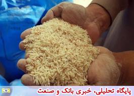 ممنوعیت واردات برنج موجب رشد 20 درصدی قیمت داخلی شد