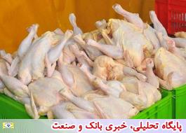 عوارض صادراتی هر کیلوگرم گوشت مرغ پنج هزار تومان تعیین شد