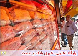جوجه ریزی شب عید از اواخر هفته آینده آغاز می‌شود/قیمت هر کیلو مرغ 13 هزار تومان