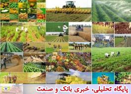 شش میلیون تن محصول کشاورزی خریداری شد