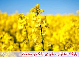 وزارت جهاد با کارخانجات روغن کشی تفاهمنامه امضا کرد