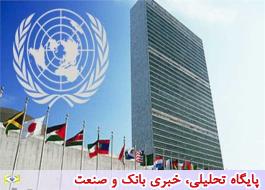 سازمان ملل: سرمایه گذاری مستقیم خارجی جهان نصف شد