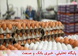عوارض 3500 تومانی برای صادرات تخم مرغ تمدید شد