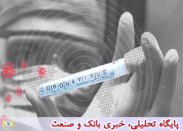 آمادگی اتاق بازرگانی ایرانیان مقیم شرق چین برای همکاری با وزارت بهداشت