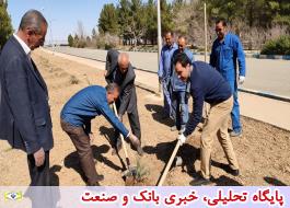 کاشت بیش از 6 هزار و 300 اصله درخت و درختچه در منطقه اصفهان
