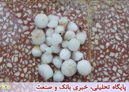 دانه های بزرگ تگرگ در استان اصفهان