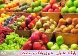 صادرات اولین محموله تره  بار و محصولات کشاورزی ایران به کویت