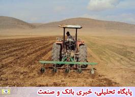 دو عامل کلیدی در شاخص بذر گواهی شده گندم در ایران