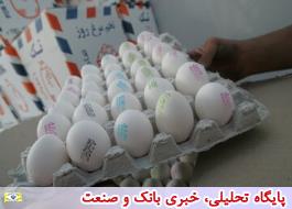قیمت تخم مرغ در بازار همچنان بالاست