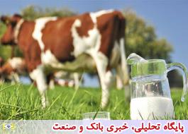 تولید 1.9 میلیون تن شیر گاو در دامداری های کشور در بهار 99