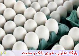 قیمت هر شانه تخم مرغ کمتر از 20 هزار تومان
