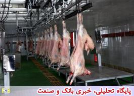 رشد 39 درصدی تولید گوشت قرمز در خرداد99