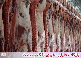 قیمت میانگین کشوری گوشت گوسفند 97.7 هزار تومان شد