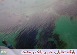 پاکسازی دو لکه نفتی در خلیج فارس