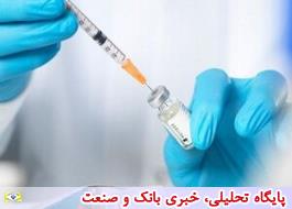 واکسن ایرانی کرونا در آستانه مرحله کارآزمایی بالینی