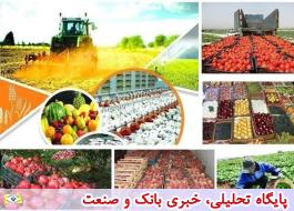 تولید محصولات کشاورزی در 6 سال اخیر 28 میلیون تن افزایش یافت