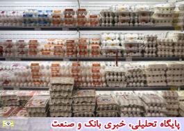 قیمت هر شانه تخم مرغ 31 هزار تومان تعیین شد