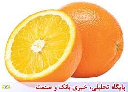 سود 18 هزار تومانی دلالان از خرید و فروش یک کیلو پرتقال/انتقاد از سود کم باغداران