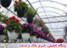 نشست مجازی «پرورش گل های تزئینی در توسعه گردشگری روستایی» در پاکدشت برگزار می شود