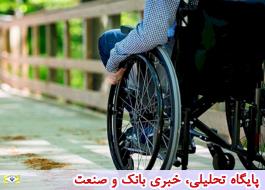 نشست گردشگری برای افراد دارای معلولیت در دماوند برگزار می شود