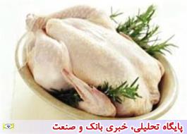 آخرین  جزئیات توزیع مرغ گرم در میادین/ نرخ مصوب هر کیلو مرغ منجمد 19 هزار و 800 تومان
