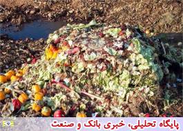 دورریز سالانه 5.9 میلیون تن غذا در ایران