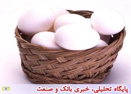 هر کیلو تخم مرغ مساوی با 15هزار تومان زیان تولیدکننده/ تخم مرغ ترکیه از ایران به افغانستان و عراق صادر می شود
