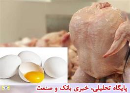 افزایش قیمت مرغ و تخم مرغ به ما اعلام نشده است