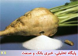 ایران در رتبه 18 تولید شکر جهان/ استمرار تولید چغندرقند در 21 استان