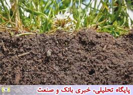 اجرای فاز سوم پایش کیفیت خاک های کشاورزی ایران در شهریور