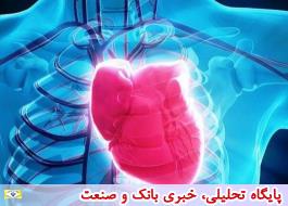 حفظ سلامت قلب موجب کاهش خطر ابتلا به 9 سرطان می شود