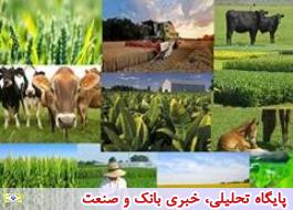 گزارش شاخص قیمت تولید کننده زراعت، باغداری و دامداری سنتی (تعدیل یافته) فصل بهار 1398