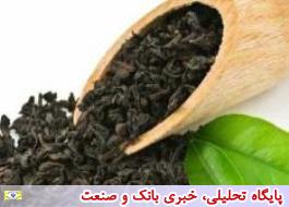 شرایط توزیع چای وارداتی با ارز دولتی