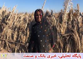 همایش روز زن روستایی 28 مهرماه مجازی برگزار می شود
