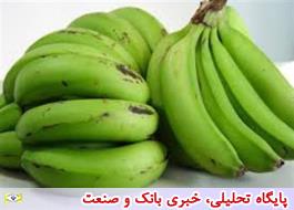 تسهیلات ویژه تولید میوه های گرمسیری در جنوب سیستان و بلوچستان پیش بینی می شود