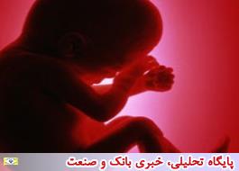 انجام 80 درصد سقط های قانونی در تهران/جلوگیری از تولد 25000 معلول با مشاوره ژنتیک و سقط درمانی
