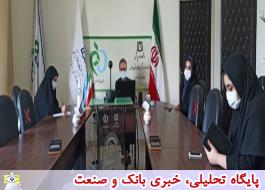 برگزاری جلسه وب کنفرانس جمع بندی و رفع مشکلات سامانه ثبت منبع در همدان