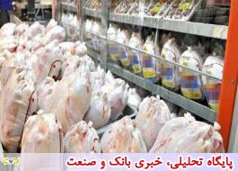 کشف احتکار 41 هزار کیلویی مرغ در مازندران
