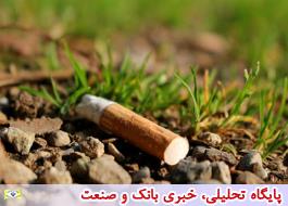 جمع آوری فیلتر سیگارها در طبیعت شهریار با مشارکت سمن ها