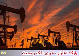 قیمت نفت خام رشد کرد