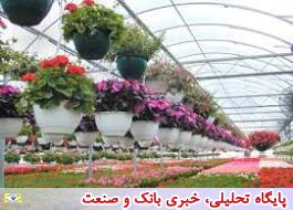 تور بازدید از مراکز تولید گل و گیاه پاکدشت برگزار می شود