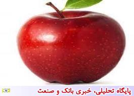 چرا هند سیب ایران را ترجیح می دهد؟