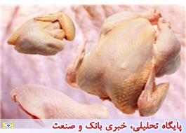 تصمیمات جدید کارگروه برنامه ریزی تولید گوشت مرغ کشور برای تنظیم پایدار بازار
