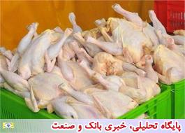 کمبود و گرانی دو باره مرغ در بازار/ ابزارهای دولت برای کاهش قیمت مرغ چیست