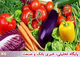تلاش ایران برای خودکفایی در تولید محصولات سبزی و صیفی